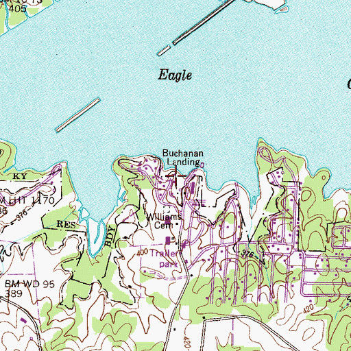 Topographic Map of Buchanan Landing, TN
