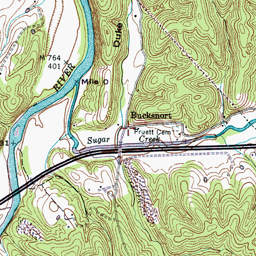 Topographic Map of Bucksnort, TN