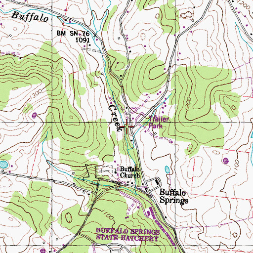 Topographic Map of Buffalo Springs, TN