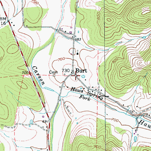 Topographic Map of Burt, TN
