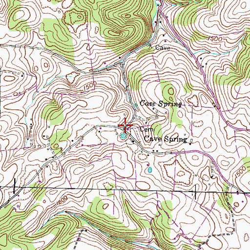 Topographic Map of Cave Spring, TN