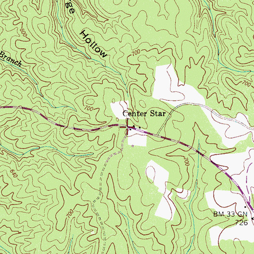Topographic Map of Center Star, TN