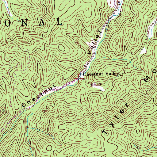 Topographic Map of Chestnut Valley, TN