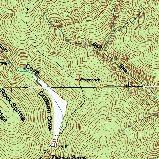 Topographic Map of Coptown, TN