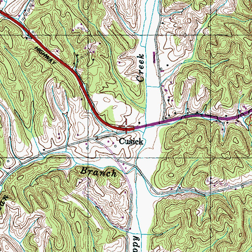 Topographic Map of Cusick, TN