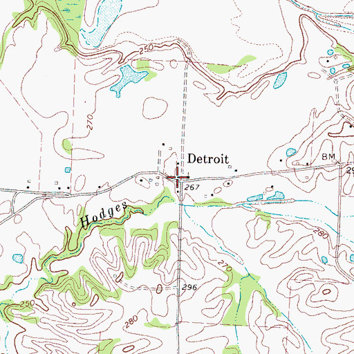 Topographic Map of Detroit, TN