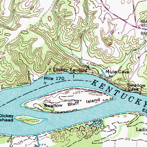 Topographic Map of Dickey Landing, TN