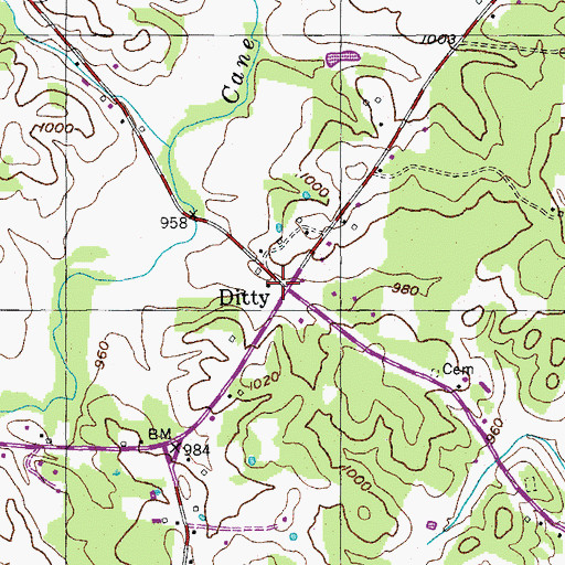 Topographic Map of Ditty, TN