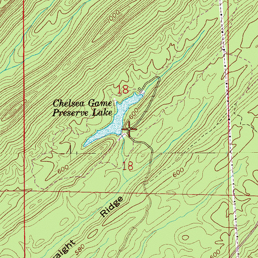 Topographic Map of Chelsea Game Preserve Lake Dam, AL