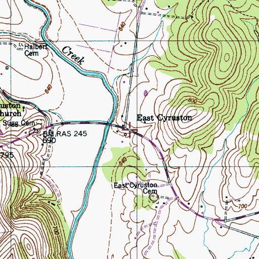 Topographic Map of East Cyruston, TN