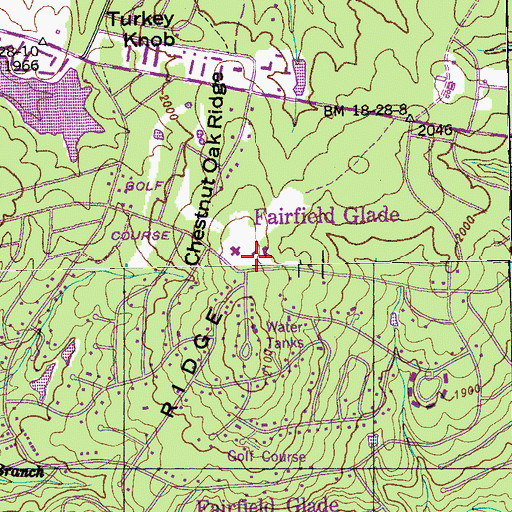 Topographic Map of Fairfield Glade, TN