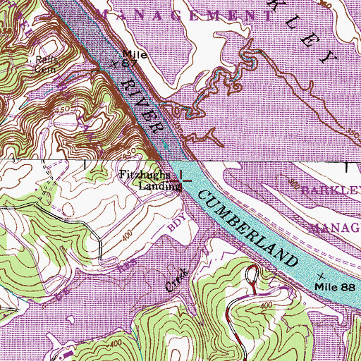 Topographic Map of Fitzhughs Landing, TN