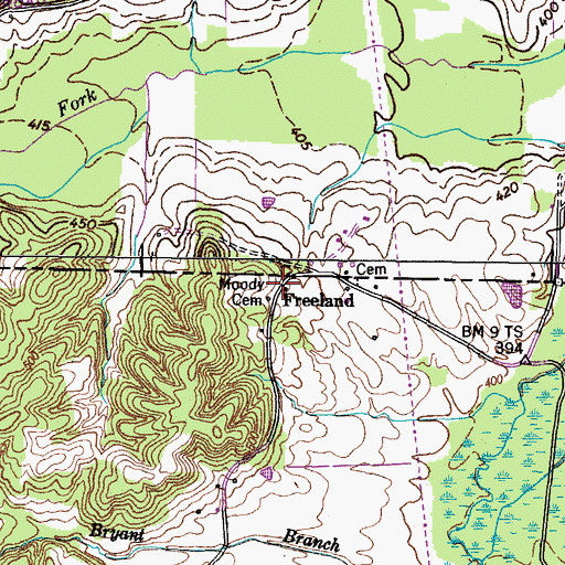 Topographic Map of Freeland, TN
