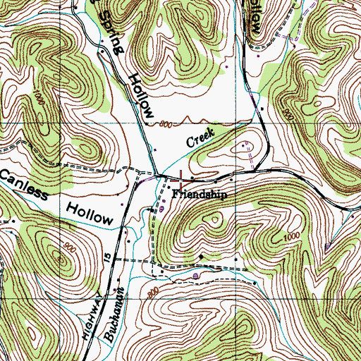 Topographic Map of Friendship, TN