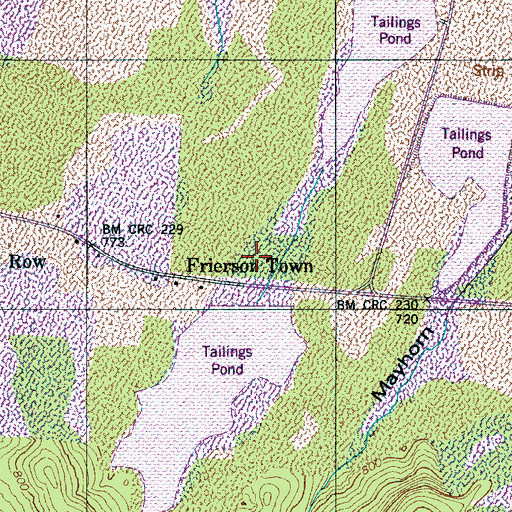 Topographic Map of Frierson Town, TN