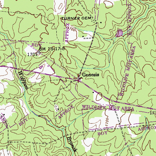 Topographic Map of Genesis, TN