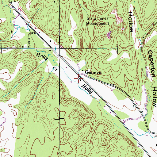 Topographic Map of Geneva, TN