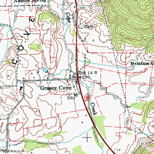 Topographic Map of Grassy Cove, TN
