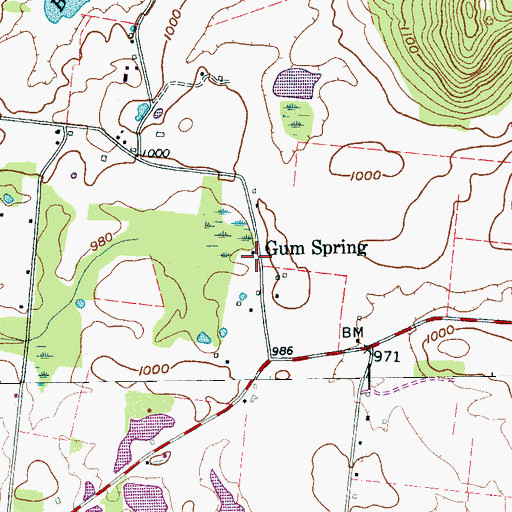 Topographic Map of Gum Spring, TN
