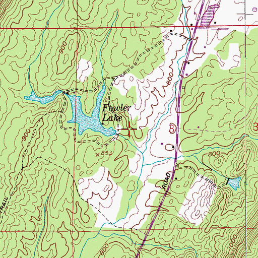 Topographic Map of Fowler Lake Dam, AL