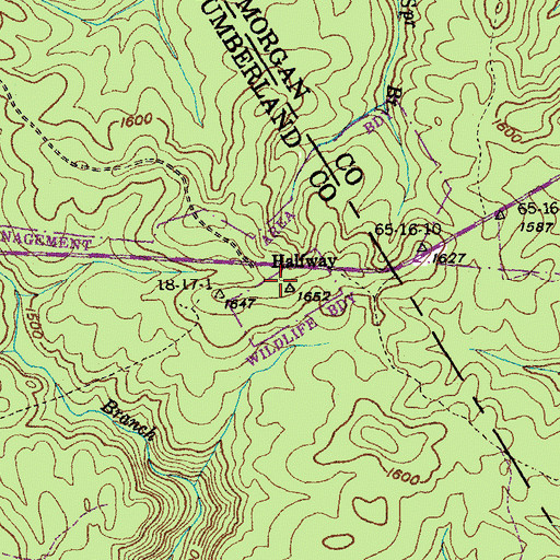 Topographic Map of Halfway, TN
