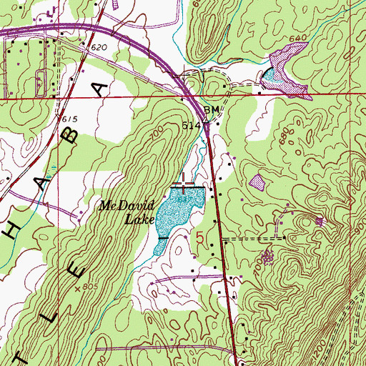 Topographic Map of McDavid Lake Dam, AL