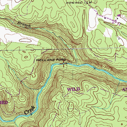 Topographic Map of Holland Ford, TN