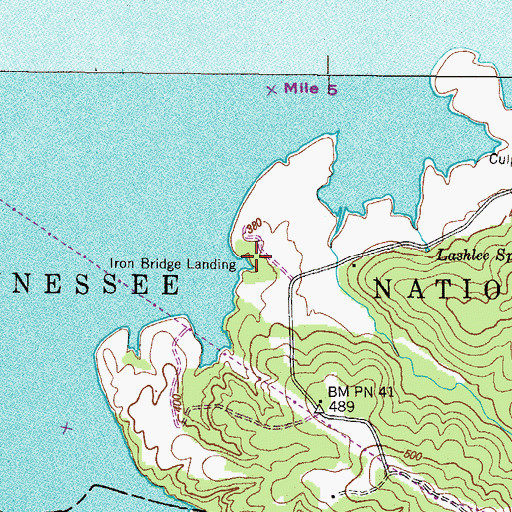 Topographic Map of Iron Bridge Landing, TN