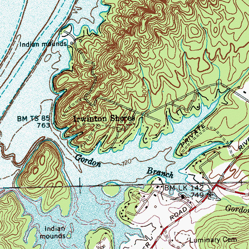 Topographic Map of Irwinton Shores, TN