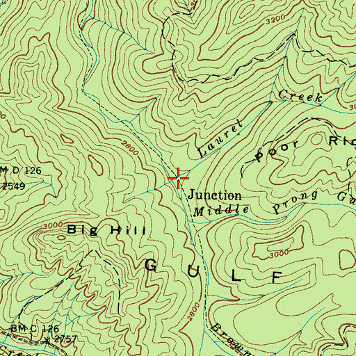 Topographic Map of Junction, TN