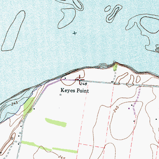 Topographic Map of Keyes Point, TN