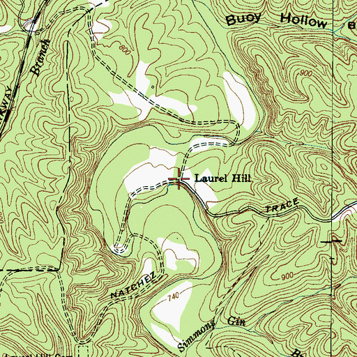 Topographic Map of Laurel Hill, TN