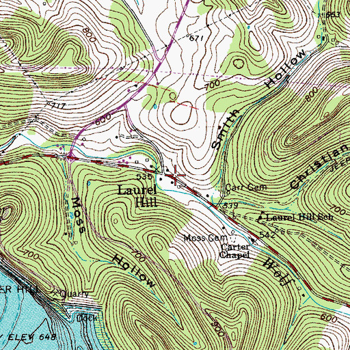 Topographic Map of Laurel Hill, TN