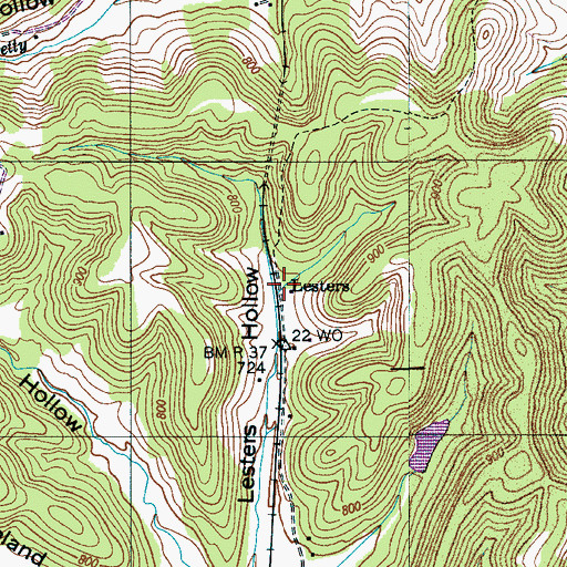 Topographic Map of Lesters, TN