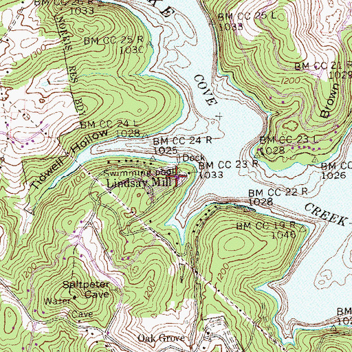 Topographic Map of Lindsay Mill, TN