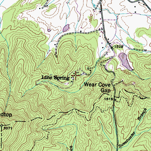 Topographic Map of Line Spring, TN