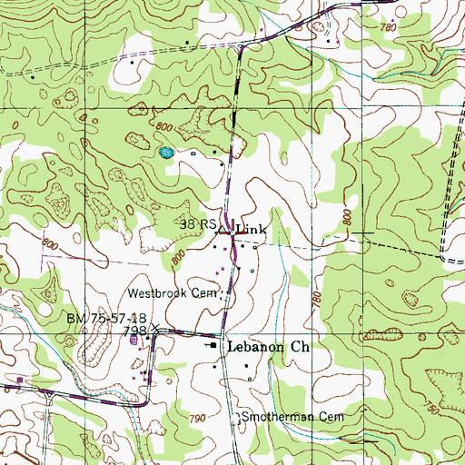 Topographic Map of Link, TN