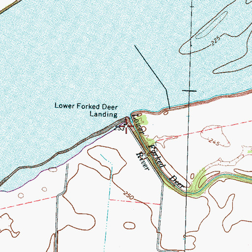 Topographic Map of Lower Forked Deer Landing, TN