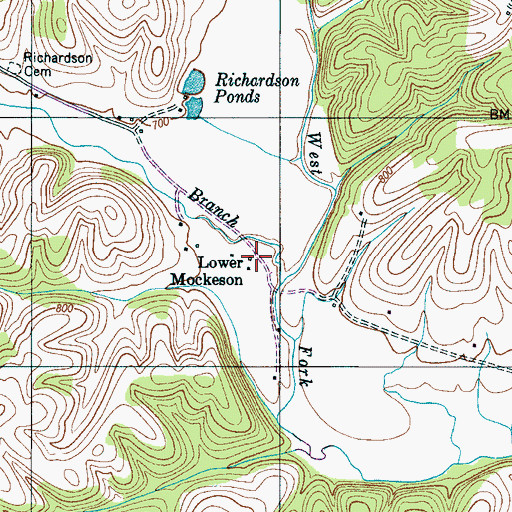 Topographic Map of Lower Mockeson, TN