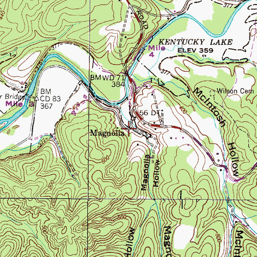 Topographic Map of Magnolia, TN