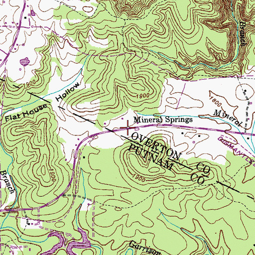 Topographic Map of Mineral Springs, TN