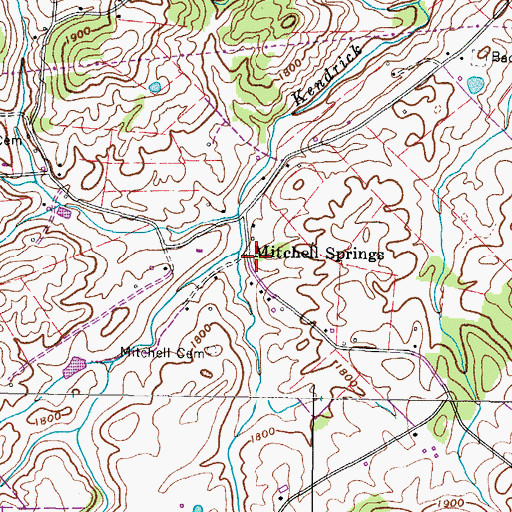 Topographic Map of Mitchell Springs, TN