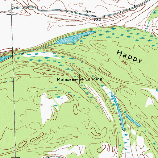 Topographic Map of Molasses Point Landing, TN