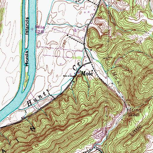 Topographic Map of Mole, TN