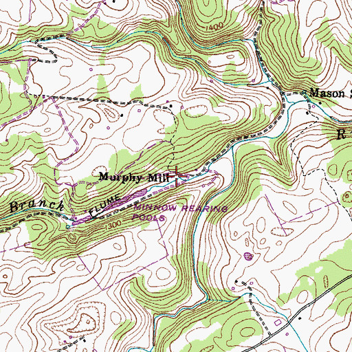 Topographic Map of Murphy Mill, TN