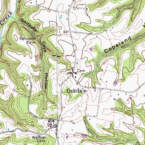 Topographic Map of Oakdale, TN