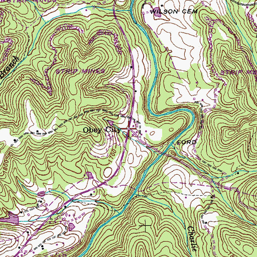 Topographic Map of Obey City, TN