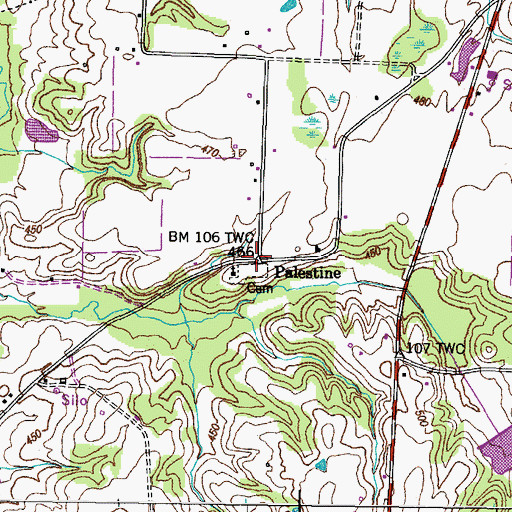 Topographic Map of Palestine, TN