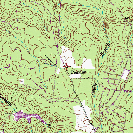 Topographic Map of Peavine, TN