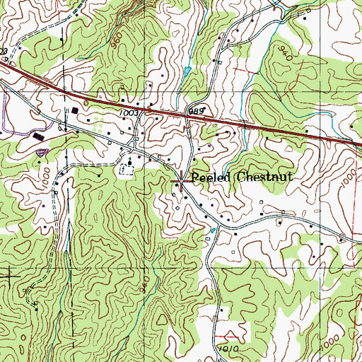 Topographic Map of Peeled Chestnut, TN